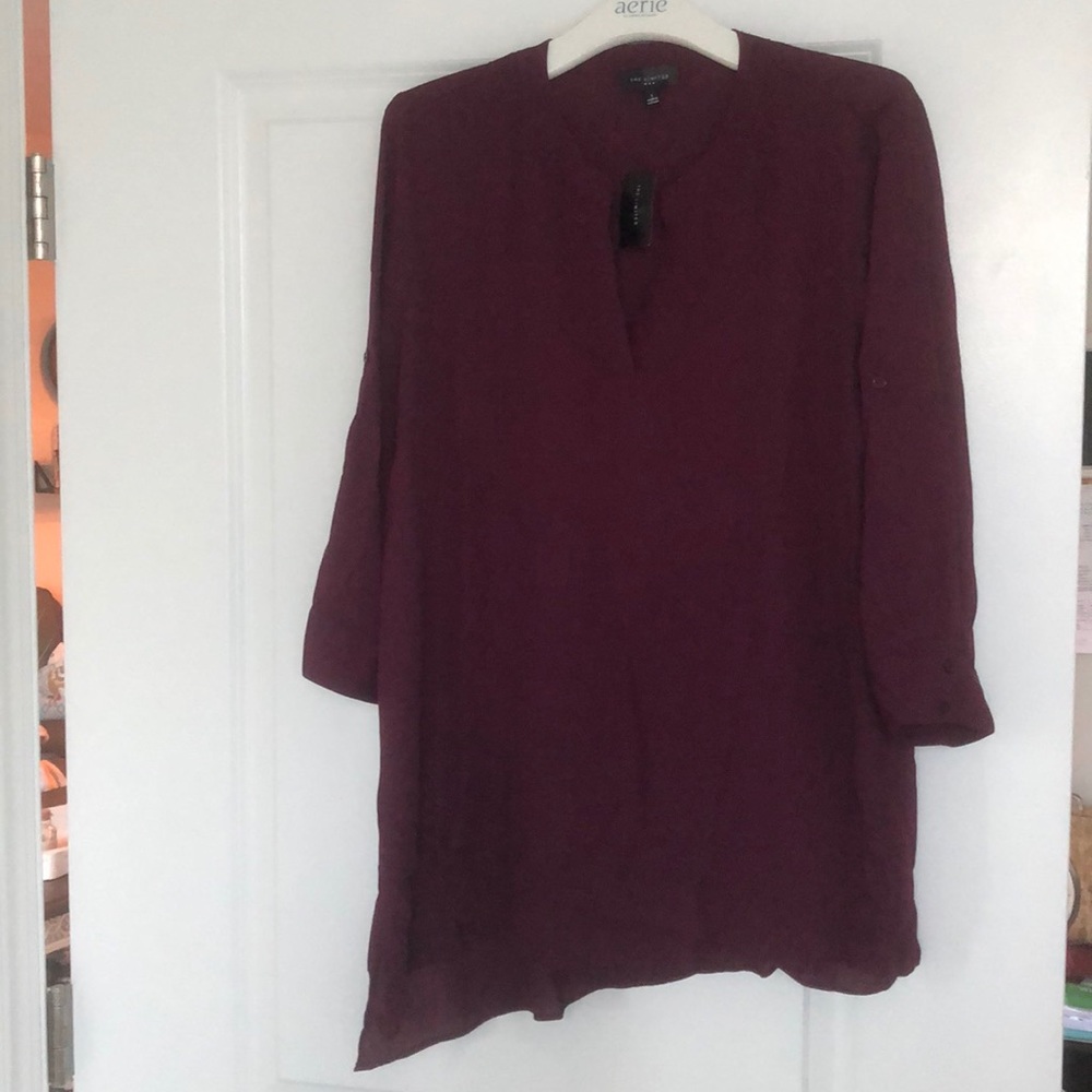 The Limited Blouse